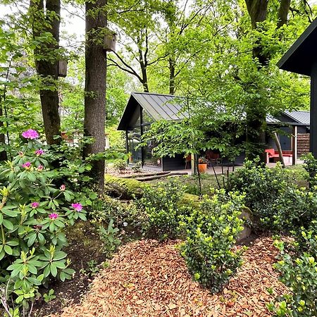 Cosy Tiny Lodges - Vakantiepark Kempenbos Diessen Exterior foto
